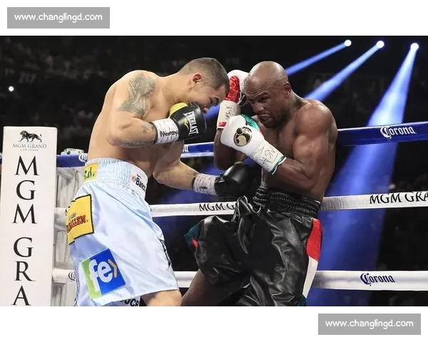 从争议犯规到世纪对决回顾奥提兹对阵梅威瑟的拳坛之夜经典回忆全景观
