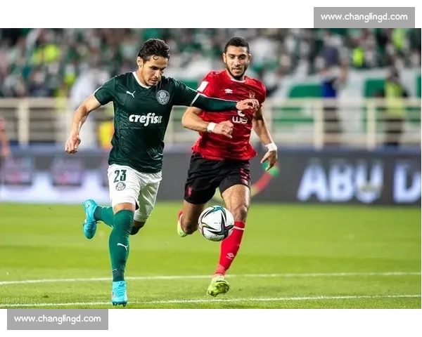 以弗拉门戈激战米内罗竞技南美豪门对决谁主沉浮绿茵场巅峰之夜决